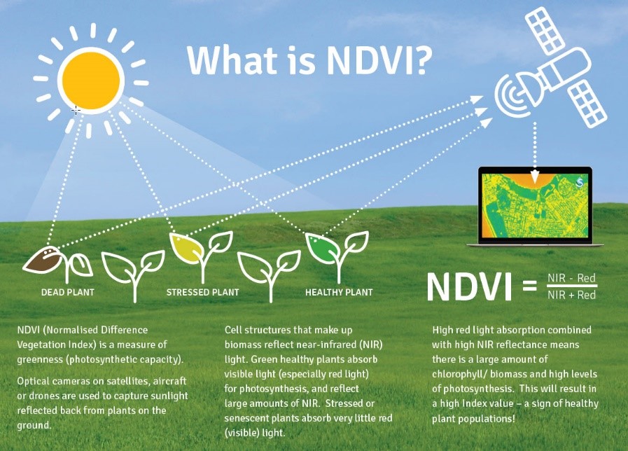 what_is_ndvi.jpg